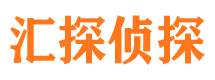 平远市侦探公司